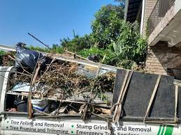 Best Dumpster Rental Services  in Los Alamos, CA